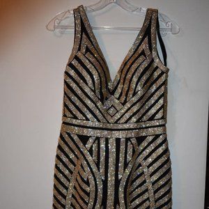 Homecoming or Formal Dress